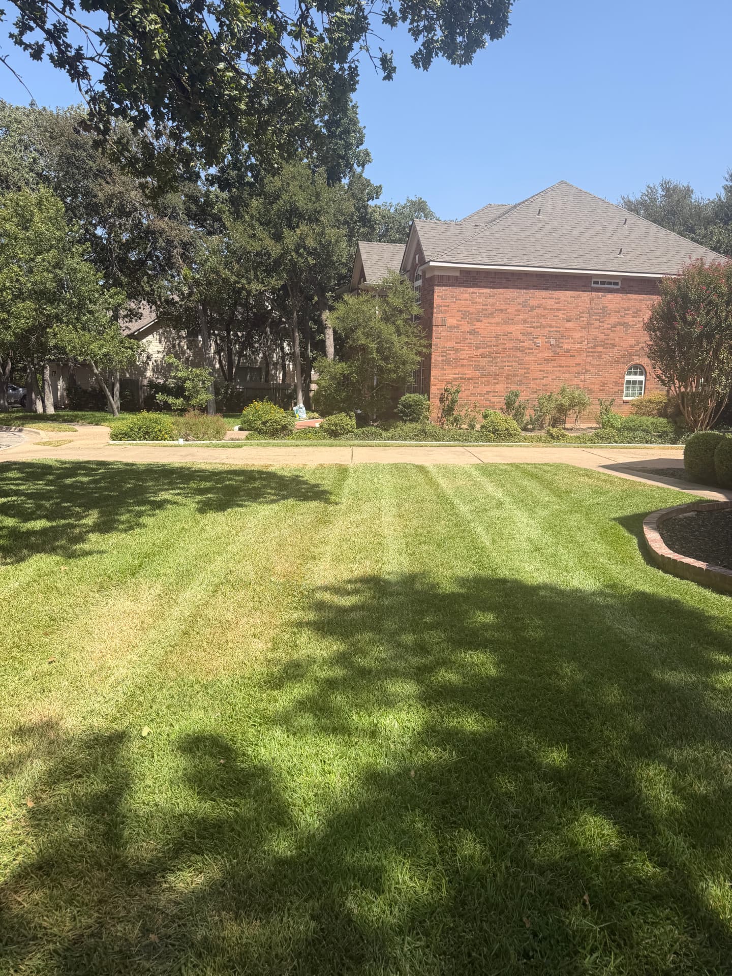 Lawn care project 1