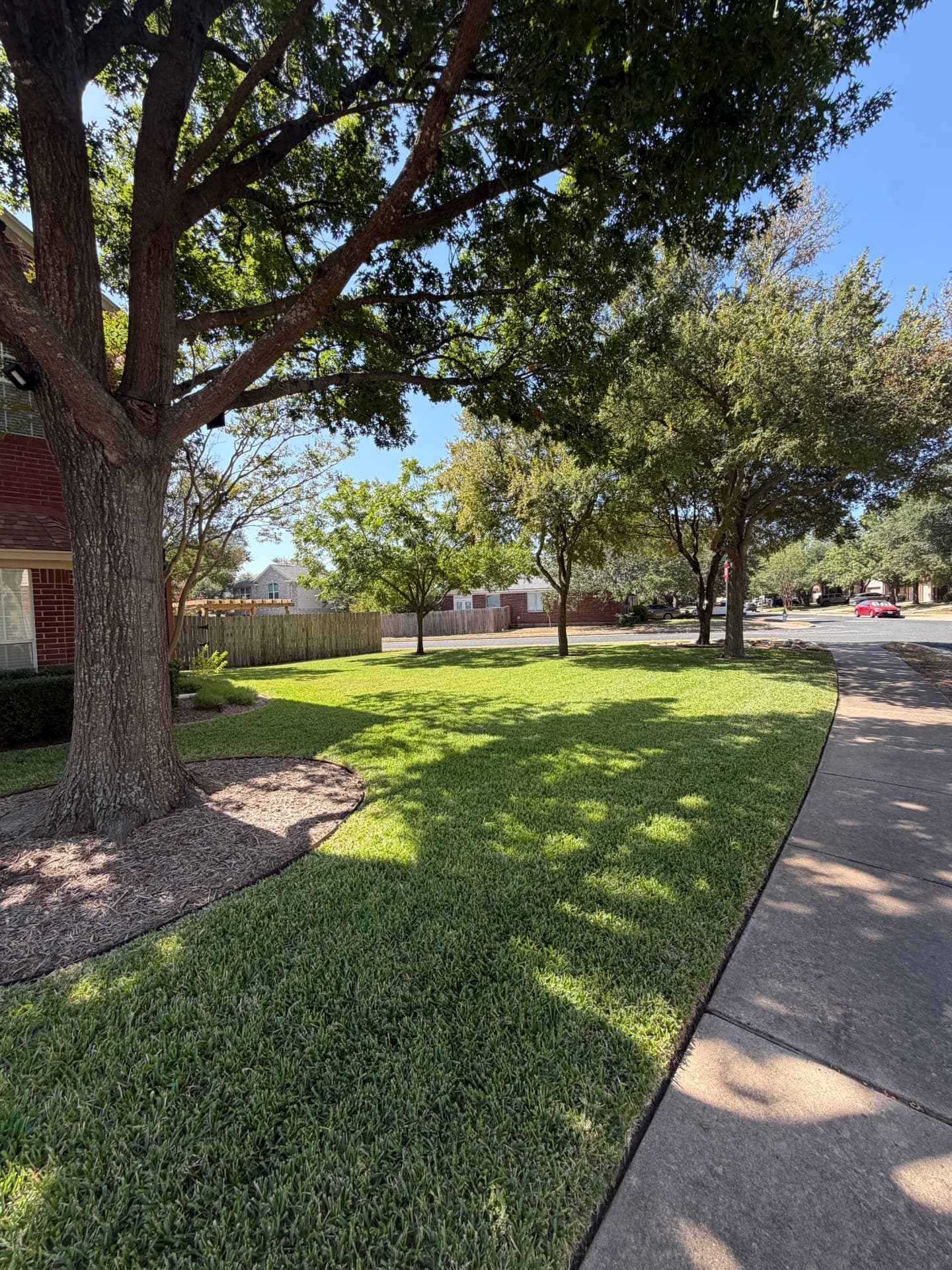 Lawn care project 2