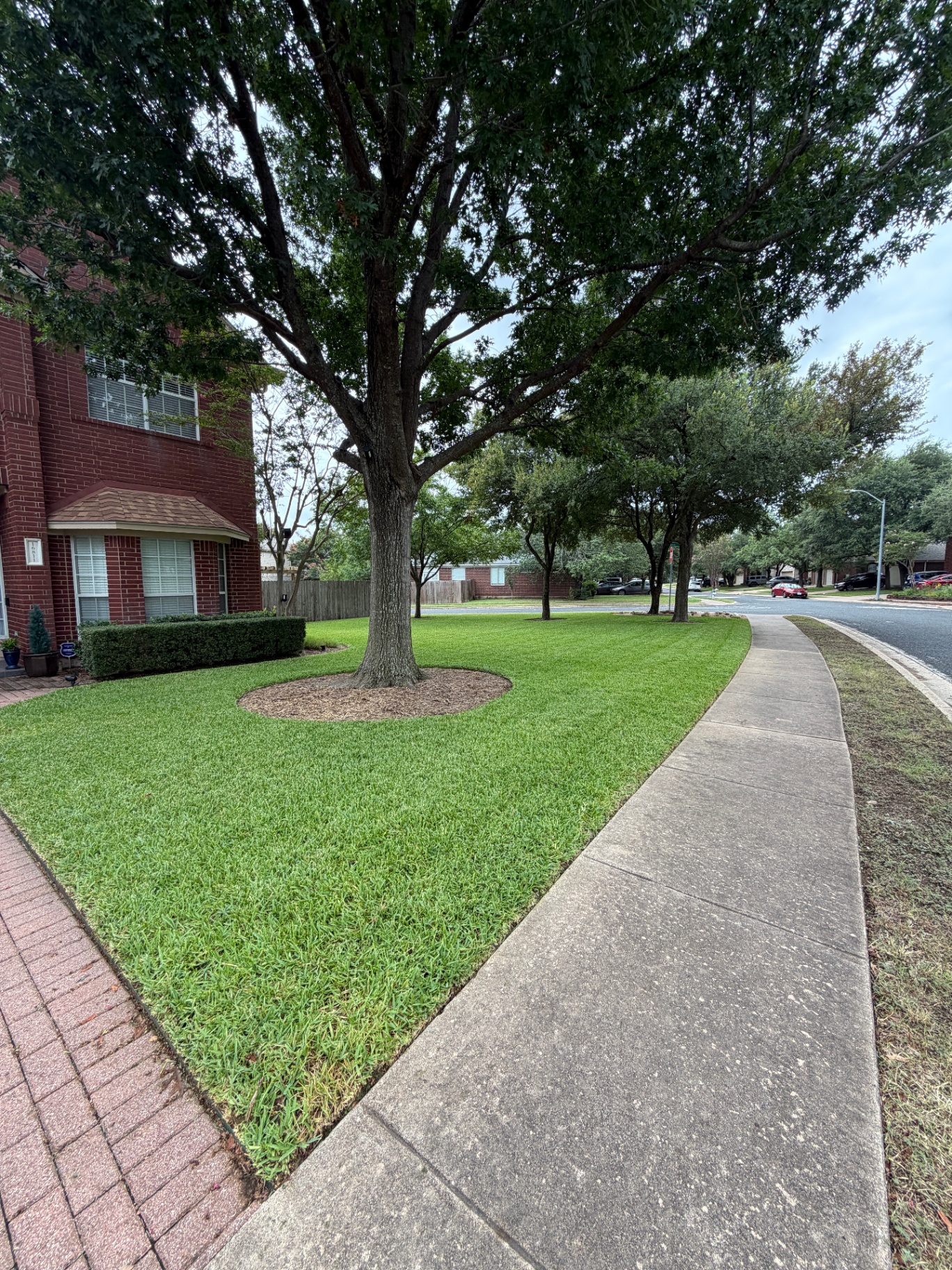 Manicured Corner Lot