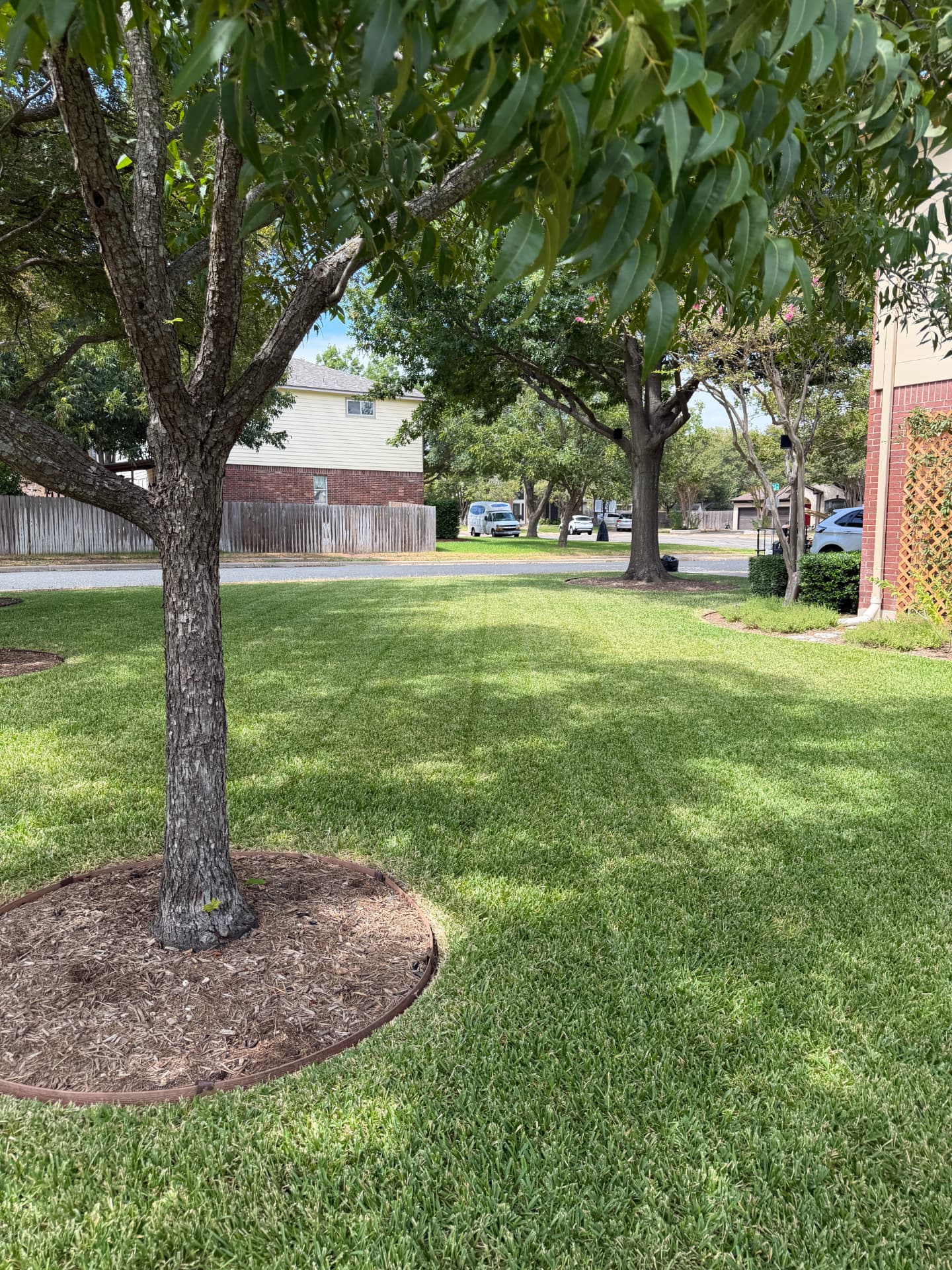 Lawn care project 5