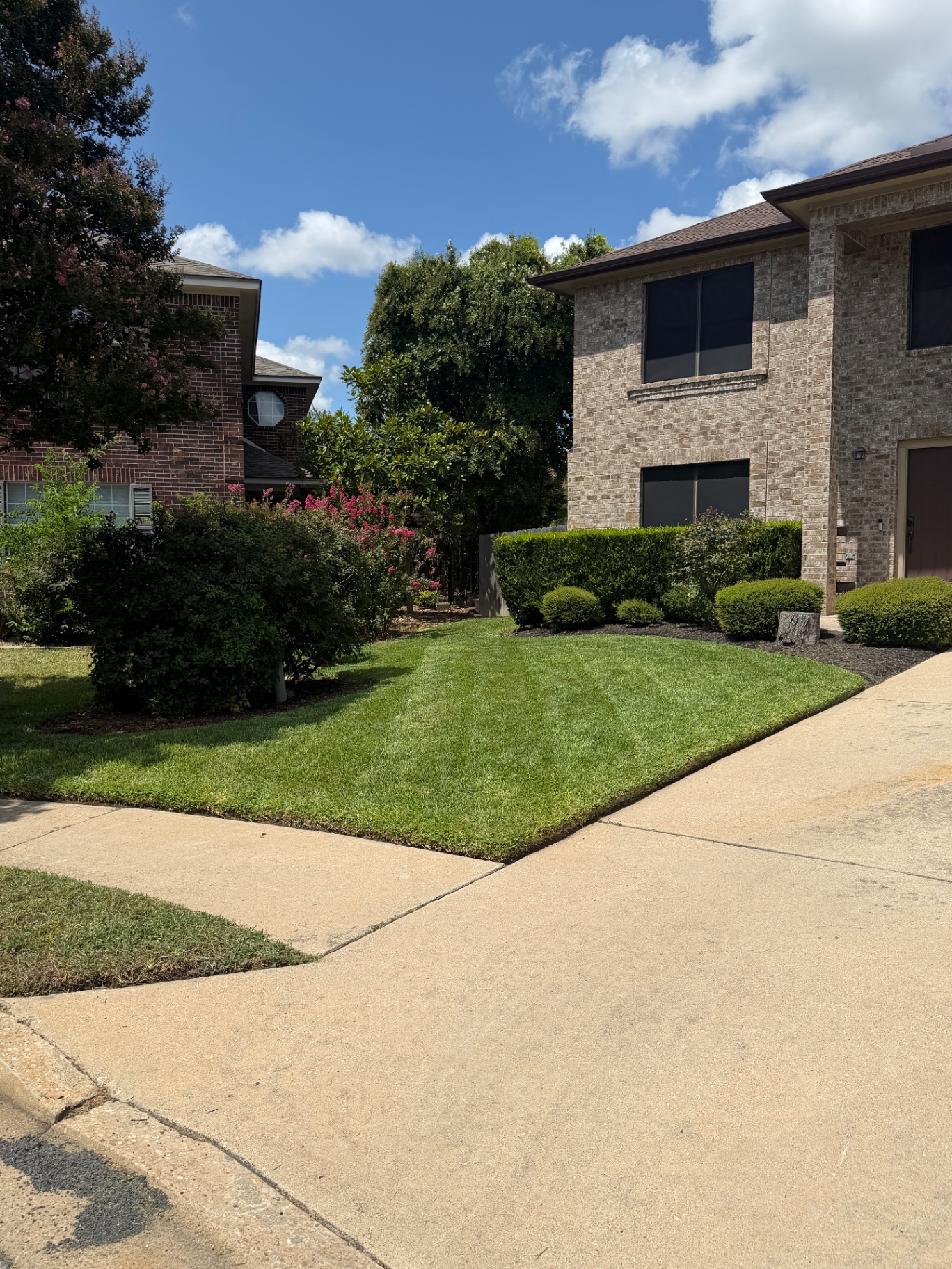 Striped Lawn