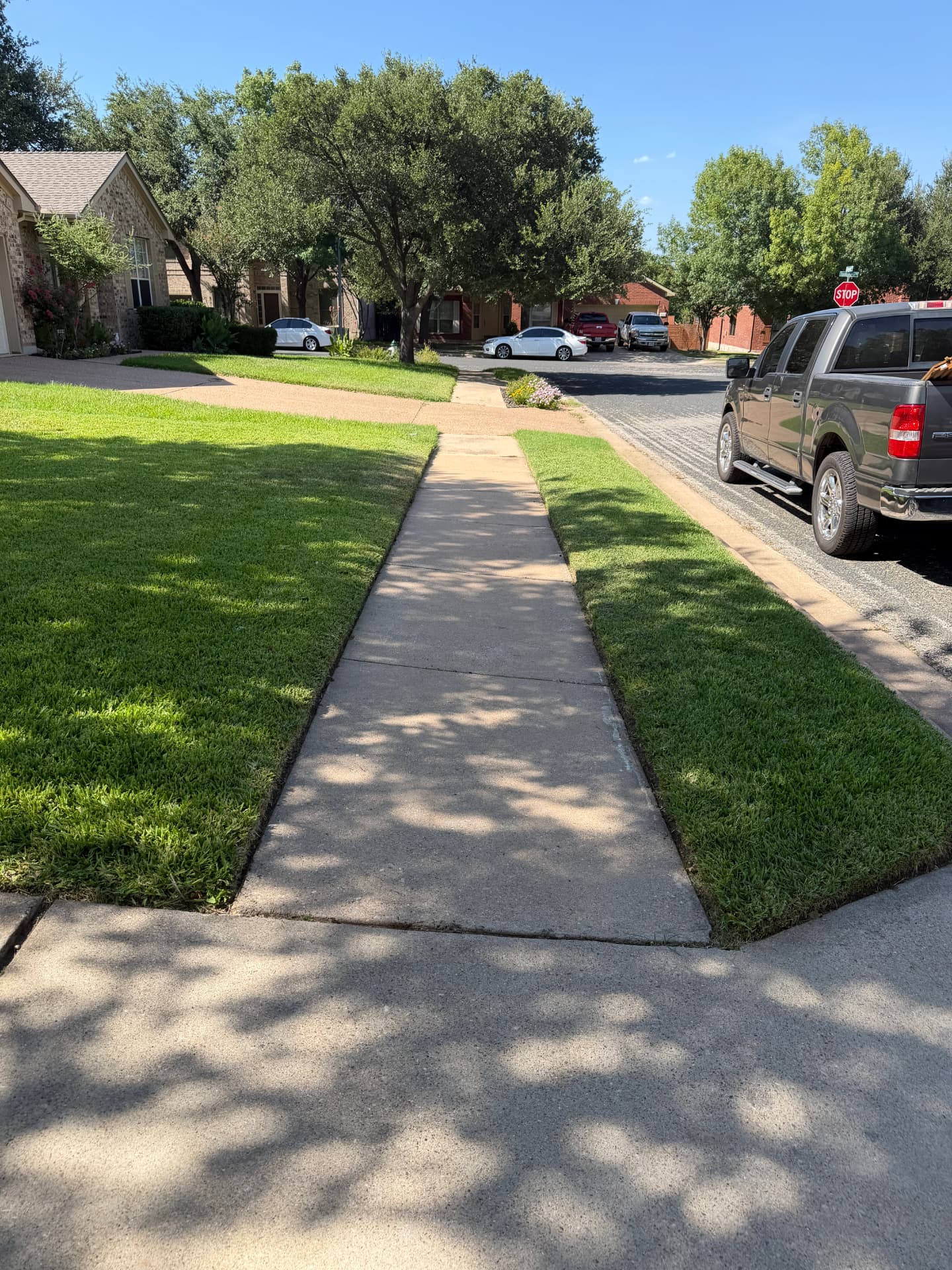 Lawn care project 8