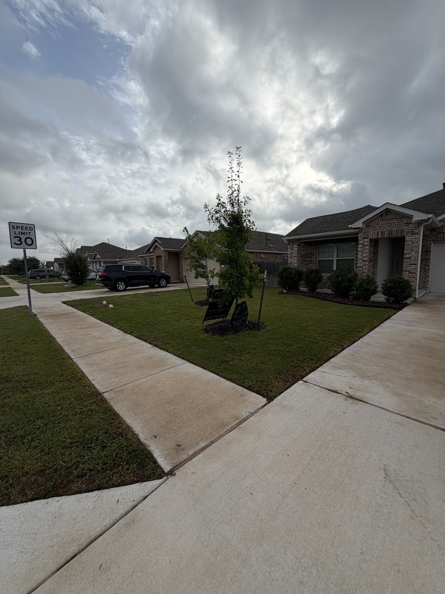 Lawn care project 6