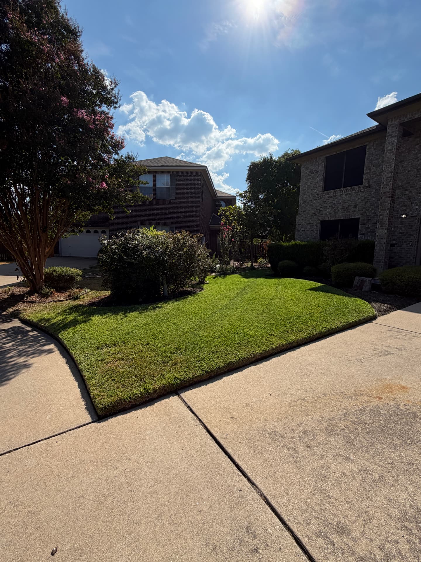 Lawn care project 4