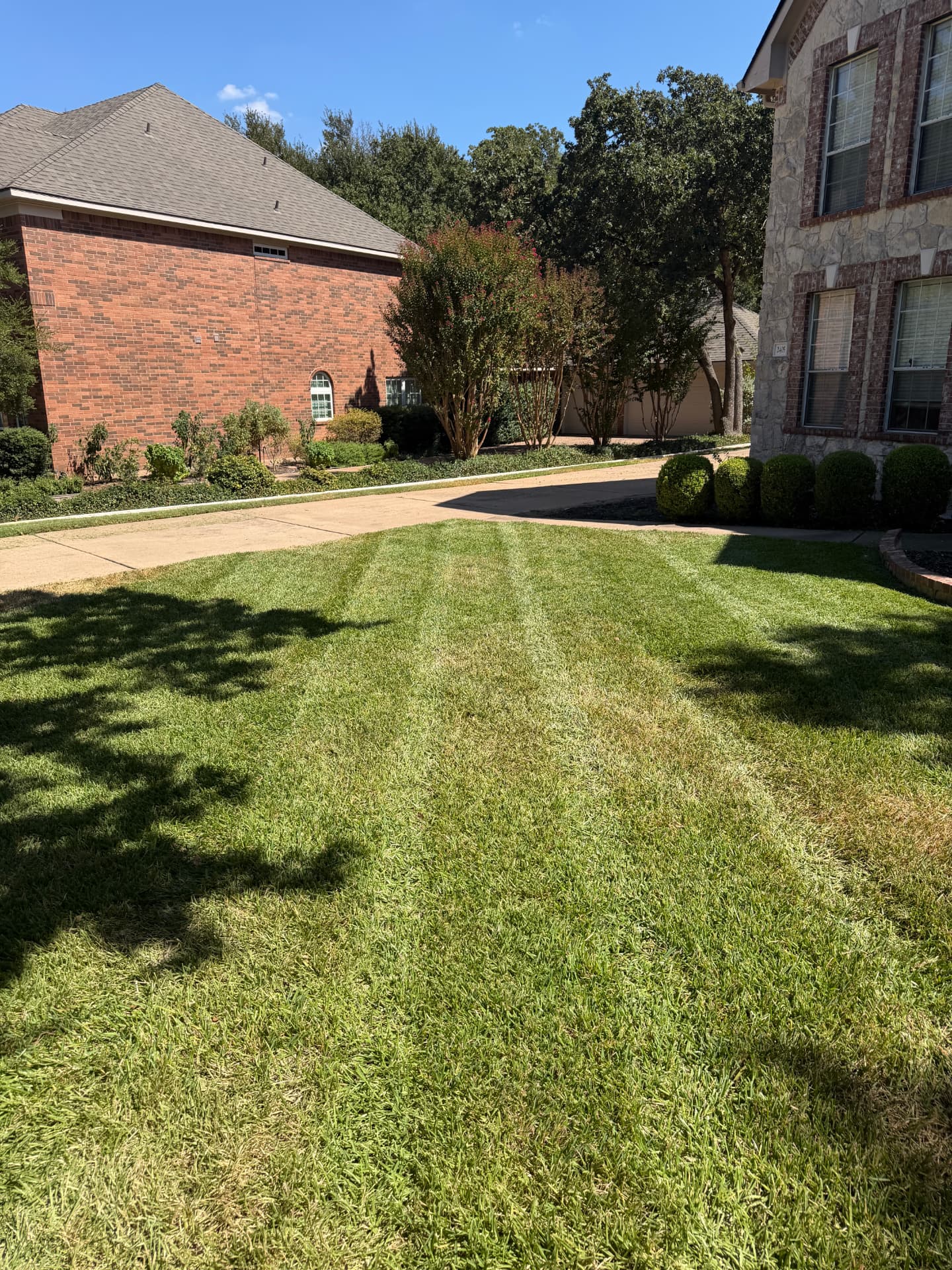 Lawn care project 7