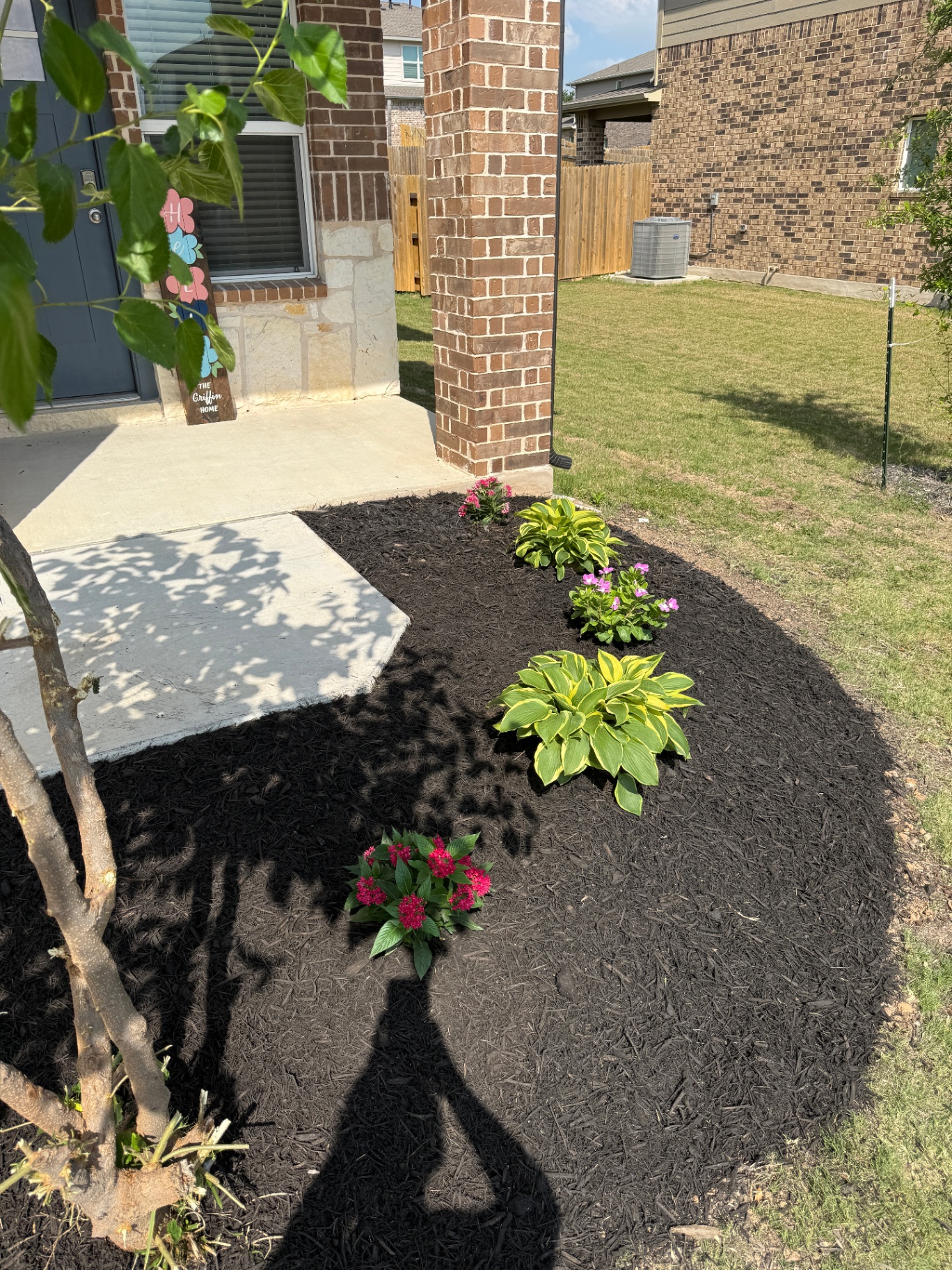 Mulch Bed & Fresh Plantings