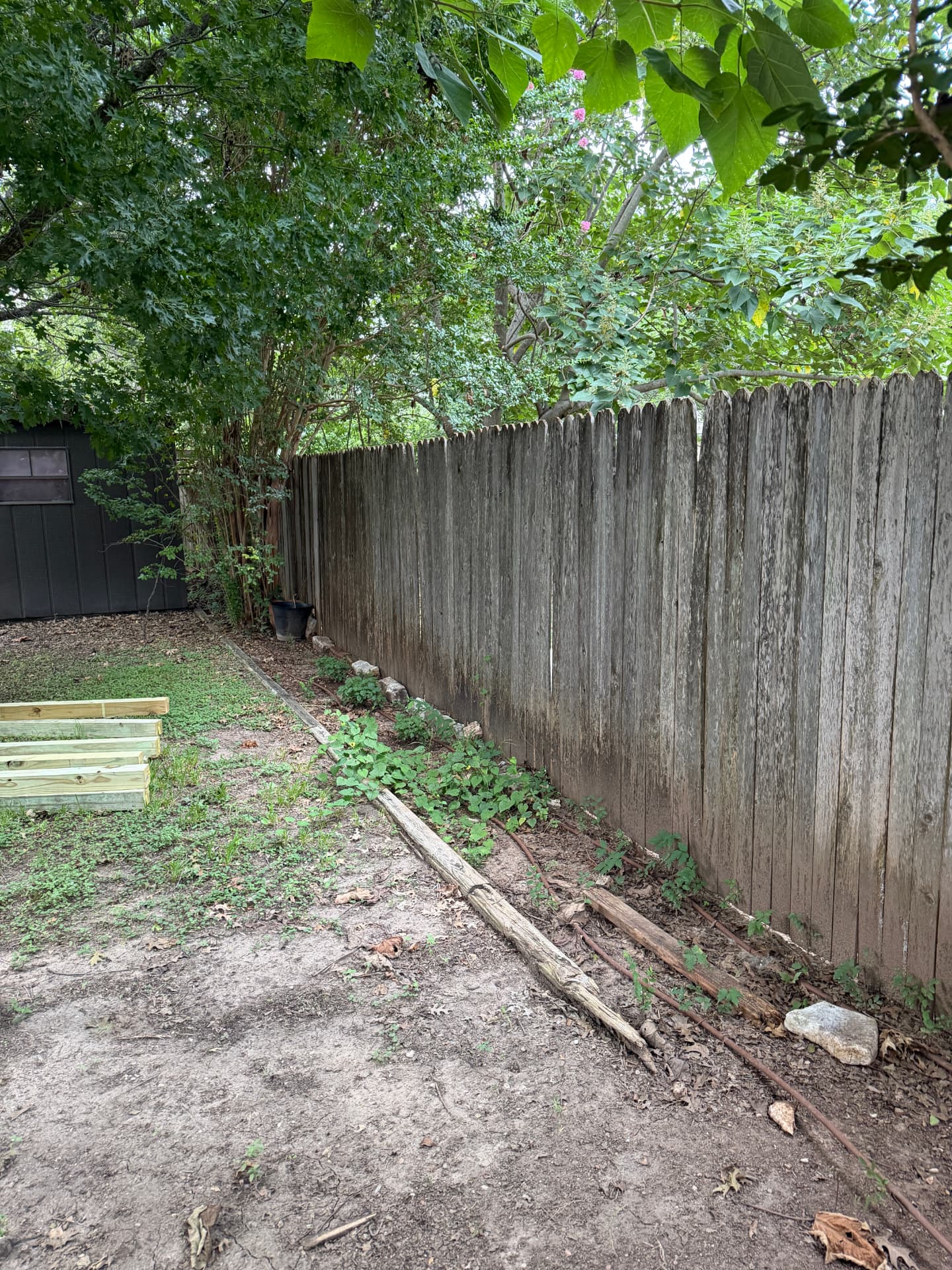 Portfolio project 6 — before